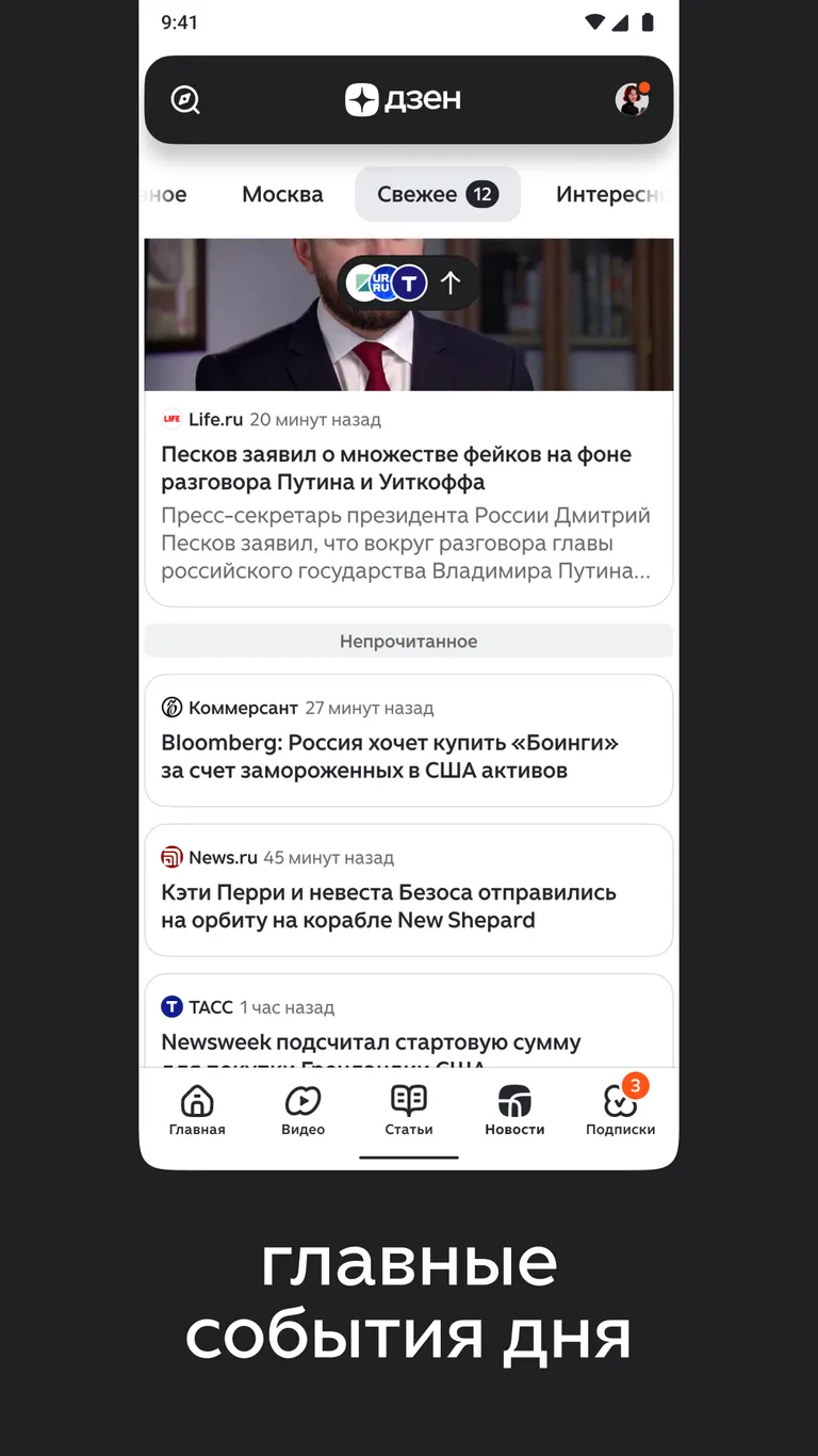 Скриншот Дзен 2